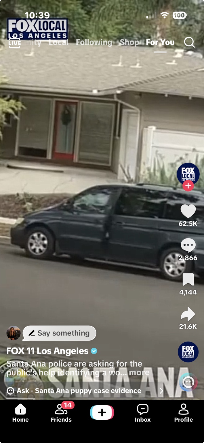 Santa Ana puppy case — woman and blue/green minivan sought